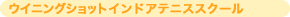 �E�C�j���O�V���b�g�C���h�A�e�j�X�X�N�[��
